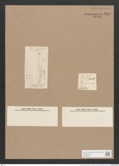 Navicula sp. (de-Toni-Nr.: Genus 1, Species 1504 ?) Zeichnungen Sammlung Grunow Nr. 1599 (NHMW-BOT-W0368145)